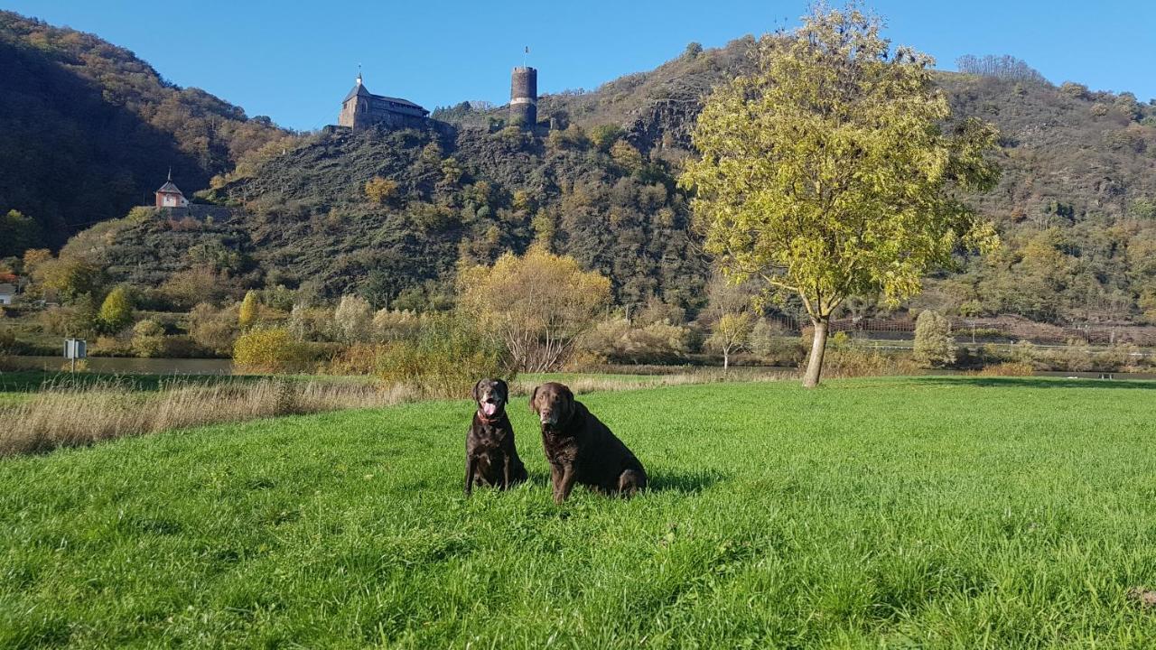 Ferienhaus Leopold Mit Burgblick An Der Mosel Burgen  Kültér fotó