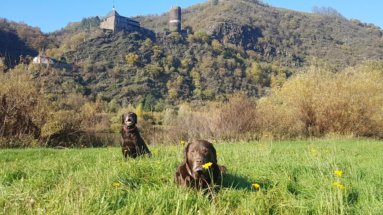Ferienhaus Leopold Mit Burgblick An Der Mosel Burgen  Kültér fotó