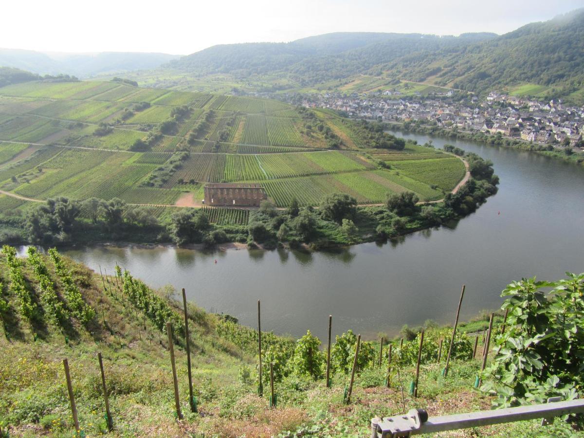 Ferienhaus Leopold Mit Burgblick An Der Mosel Burgen  Kültér fotó